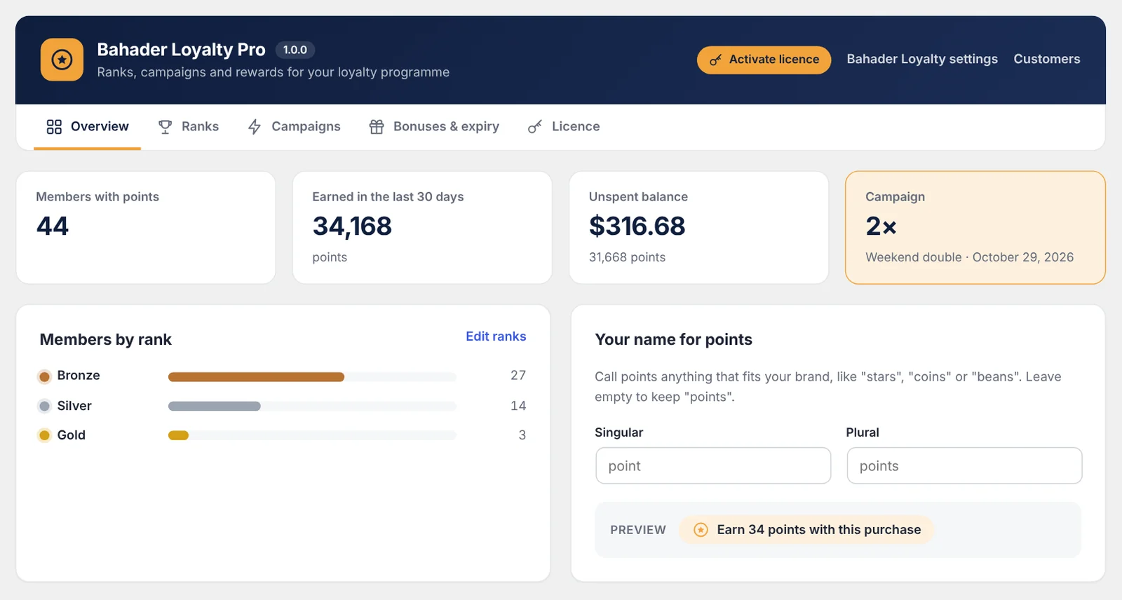 Bahader Loyalty Pro overview: 44 members with points, 34,168 points earned in 30 days, $316.68 unspent, a 2× weekend campaign running, and members by rank.